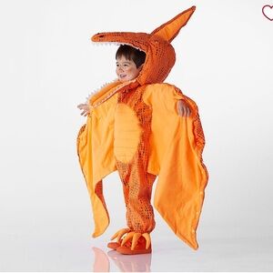 Pottery Barn Kids Vibrant Orange Pterodactyl Costume